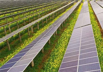 دفع الزراعة والطاقة الشمسية إلى الأمام